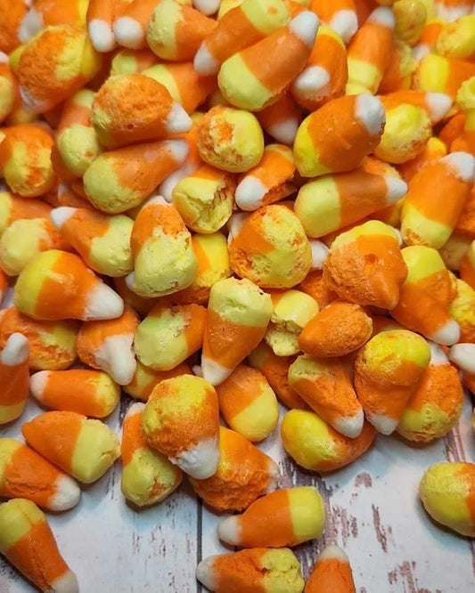 Freeze Dried Candy Corn- 4x6 STANDARD Size