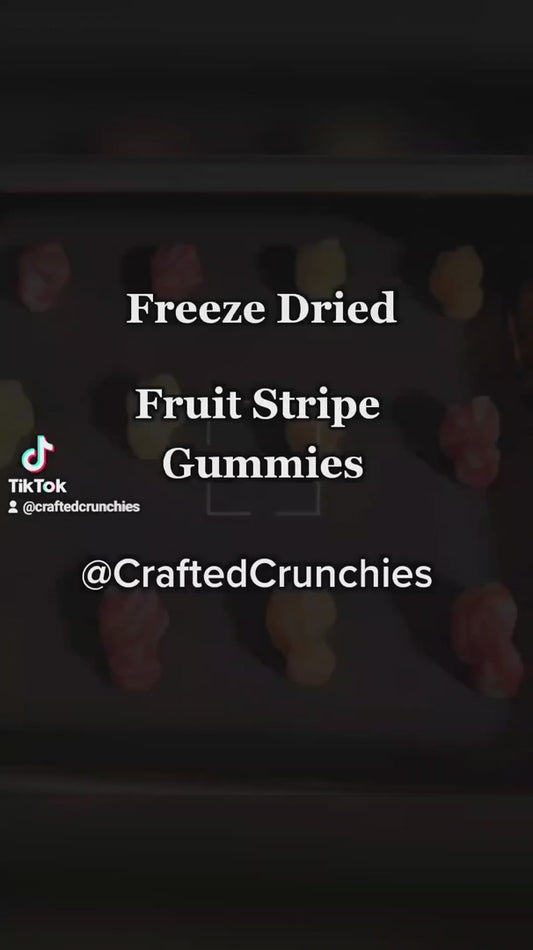 Freeze Dried Fruit Striped Gummies- 5x8 Size