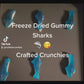 Freeze Dried Gummy Sharks- 4x6 SAMPLE Size