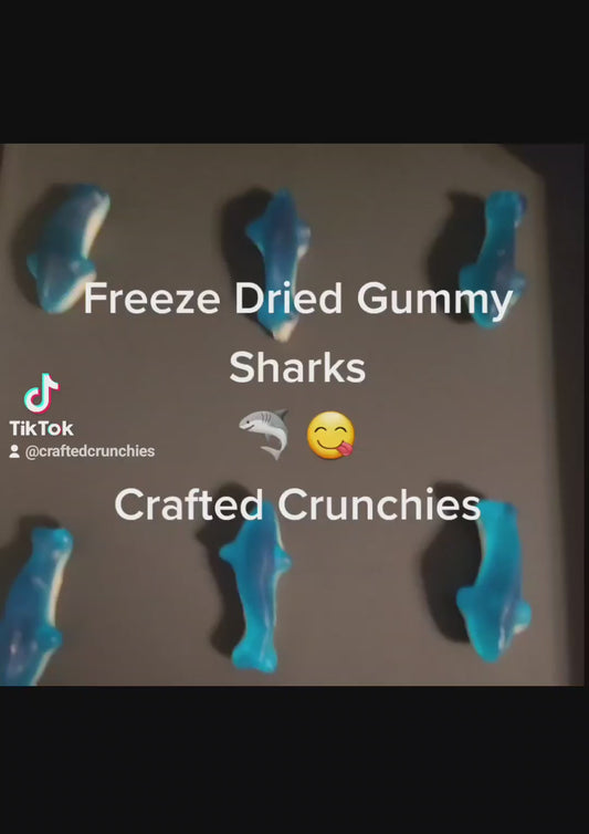 Freeze Dried Gummy Sharks- 4x6 SAMPLE Size