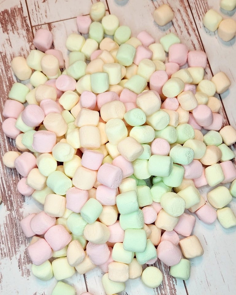 Freeze Dried Marshmallows- 4x6 SAMPLE Size